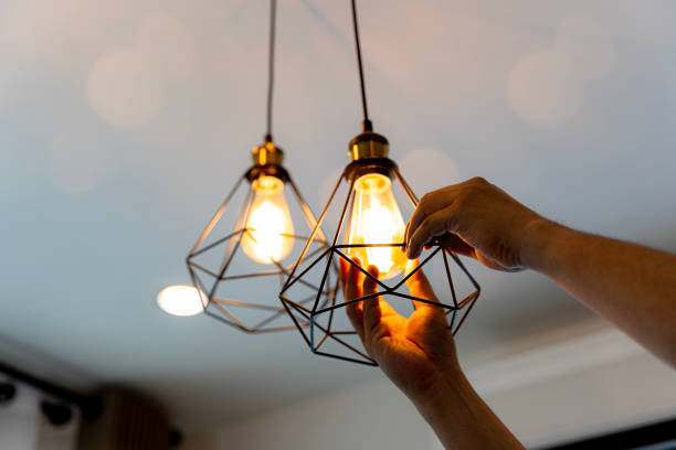 Best Electric Panel Repair  in Napoleon, OH